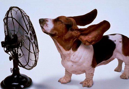 BE COOL: Schedule Your A/C Service Today. We also 