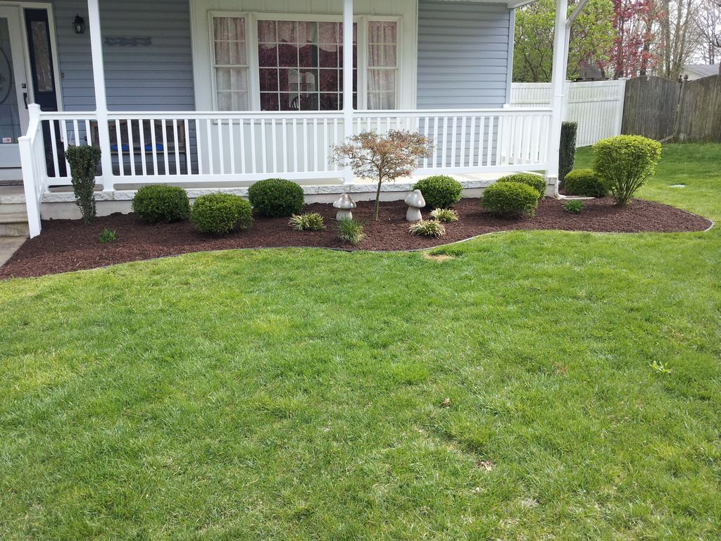 Mulch & Shrubs