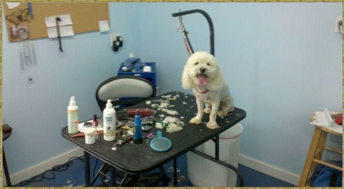 This little guy seems to be enjoying his day at th