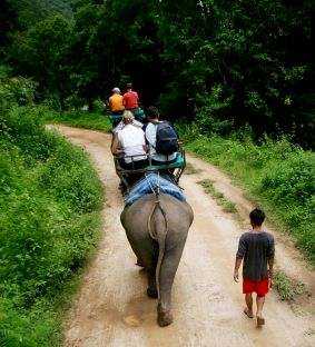 Elephant riding, Thailand