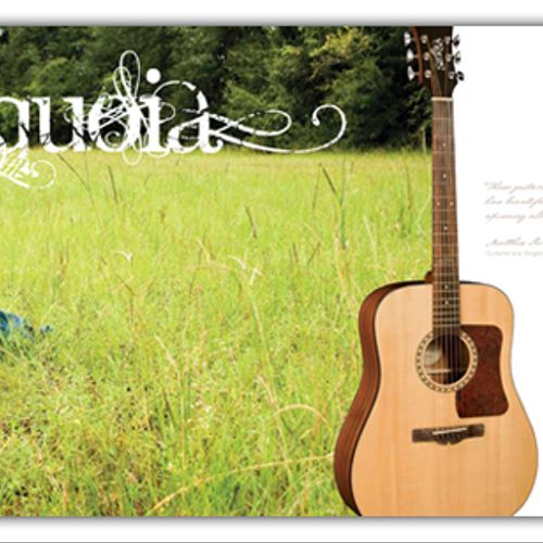 Inside Spread from Sierra Guitars Consumer Catalog
