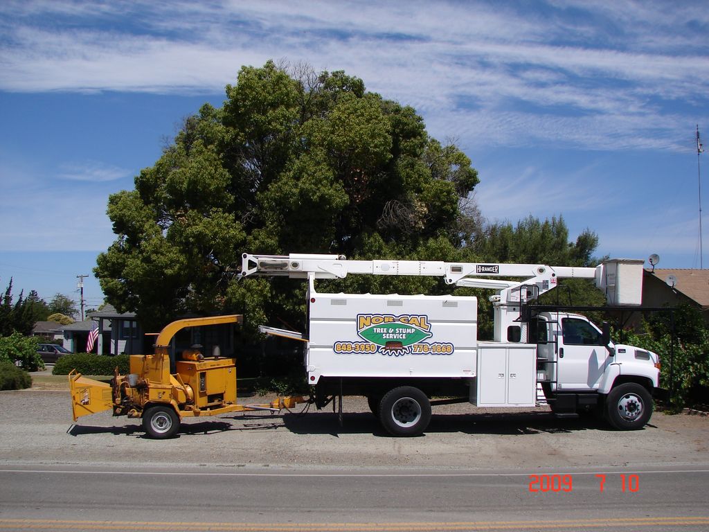 Nor-Cal Tree and Stump Service