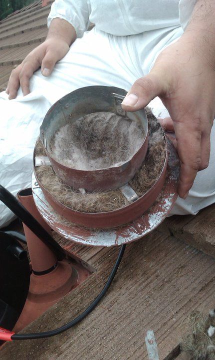 Dryer Vent Cleaning