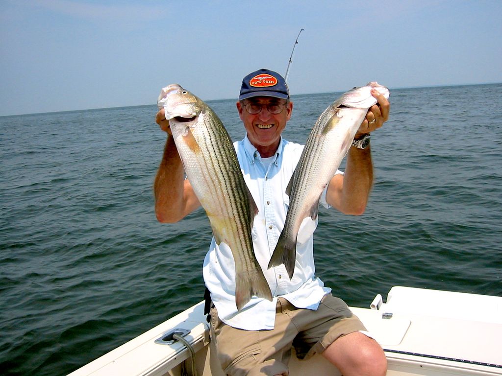 Fly or Light Tackle Fish at the Chesapeake Bay
