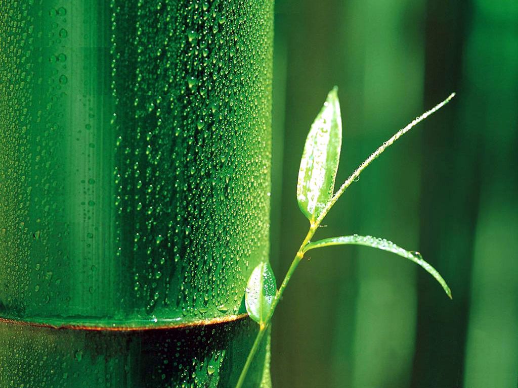 We are going green!