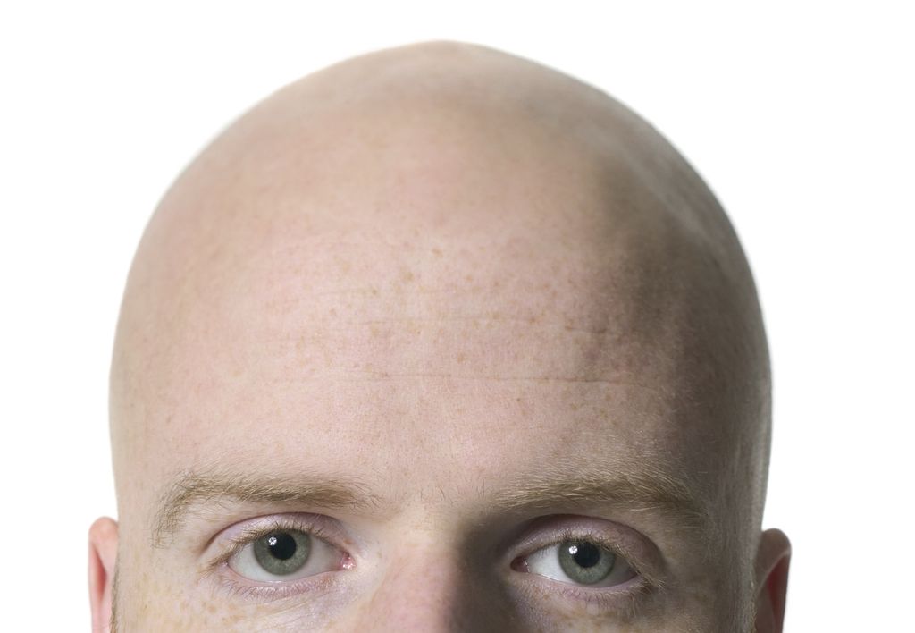 Bald Guy Web Design