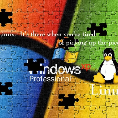 Windows XP Professional / Linux - Dual Boot