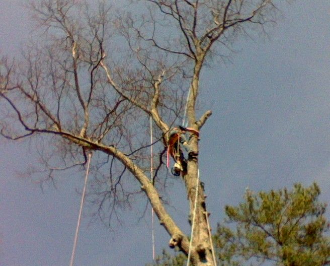 An experienced climber can make or break the busin