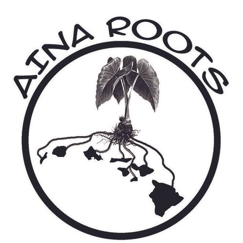 Aina Roots Entertainment
*Live Bands/DJ
*Event Pla
