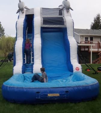 16' Dolphin Slide Can be used dry (with inflatable