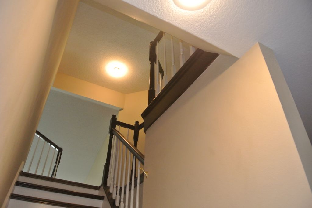Palm Harbor Remodeling