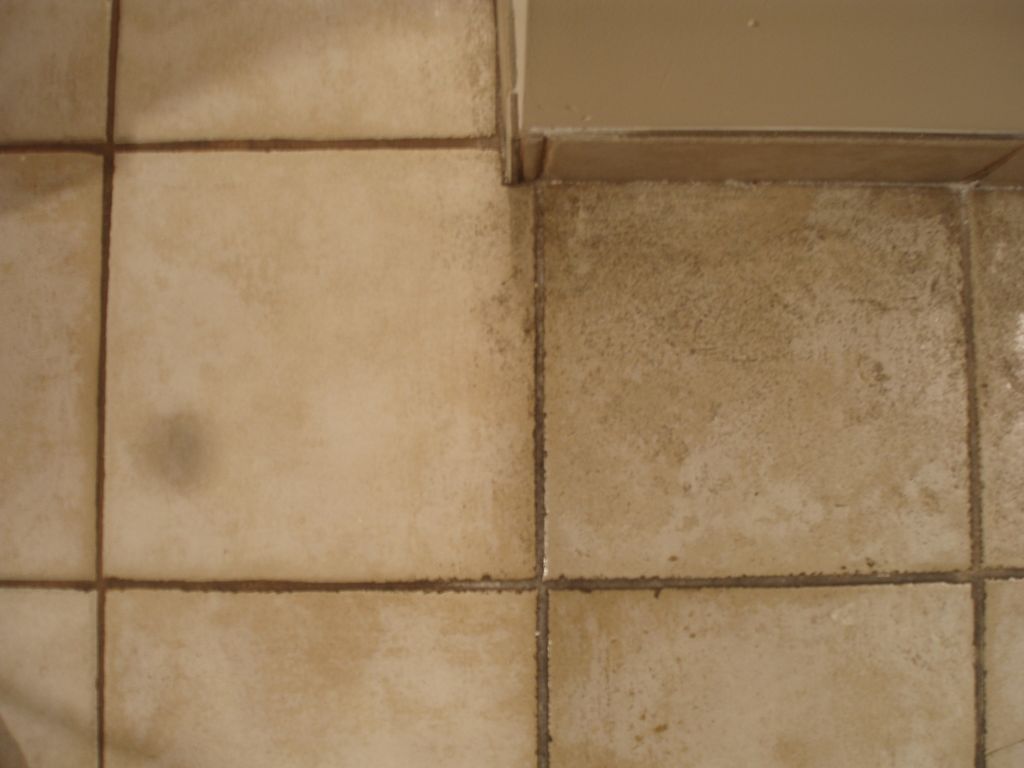 Half of the tile cleaned using HOST