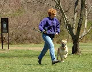 having some fun with a reactive dog