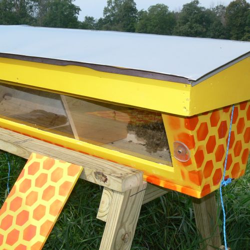 A top bar hive established with a colony removed f