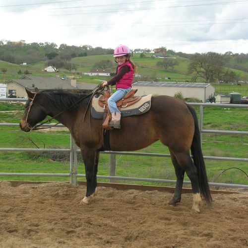 Offering Youth and amateur riding Lessons