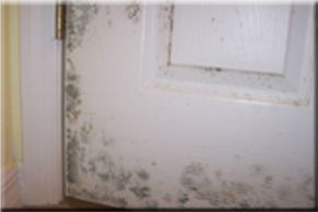 Door before remediation