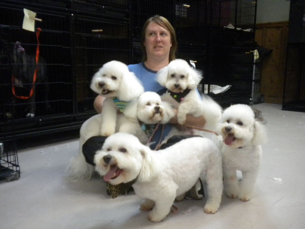 All these precious babies have been rescued by She