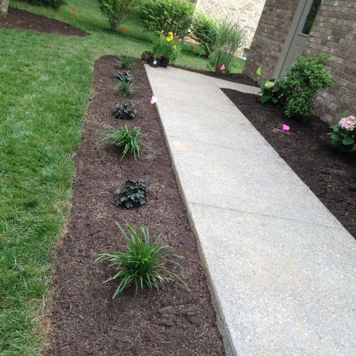 (On one of our recent jobs) Both beds, all plants 