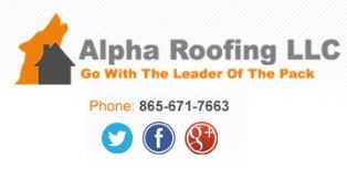The Alpha Roofing Company