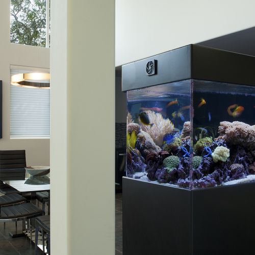 180 gallon Living Reef Room Divider Peninsula Aqua