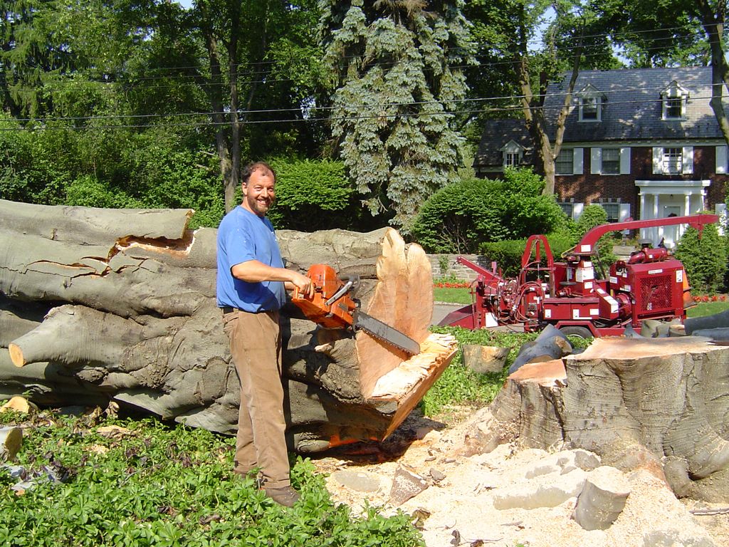 Steven Daniels, arborist, proud of his speed, safe