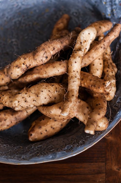 Wild Potatoes