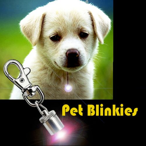 If you love your pet you will love the Pet Blinkie