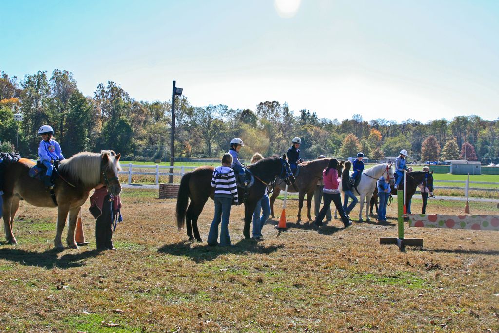 Open House and Horsemanship Show