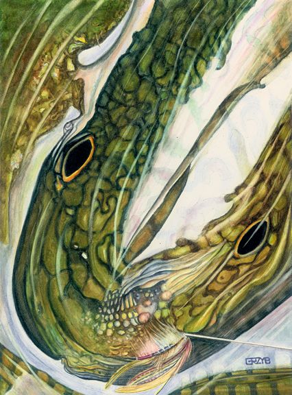 Fish on!