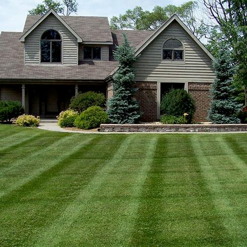 The beautiful striping of Simplicity Lawn Mowers