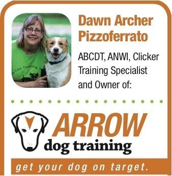 Arrow Dog Training