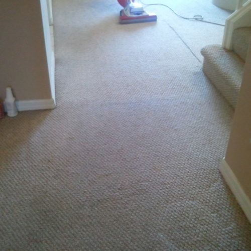 Residential Carpet Cleaning BEFORE / AFTER!!!