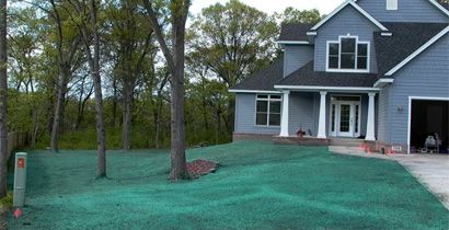 Hydroseed job that we completed after prepping the