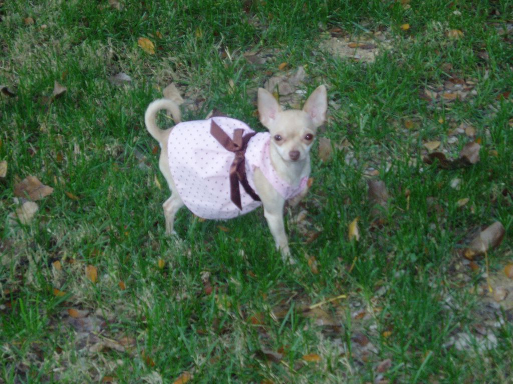 My name is Callie.
my mommy is the best at what sh