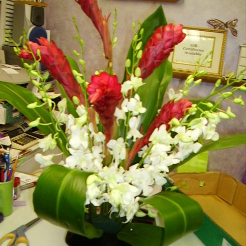 Fresh Flowers Tropical Arrangements or orchids and