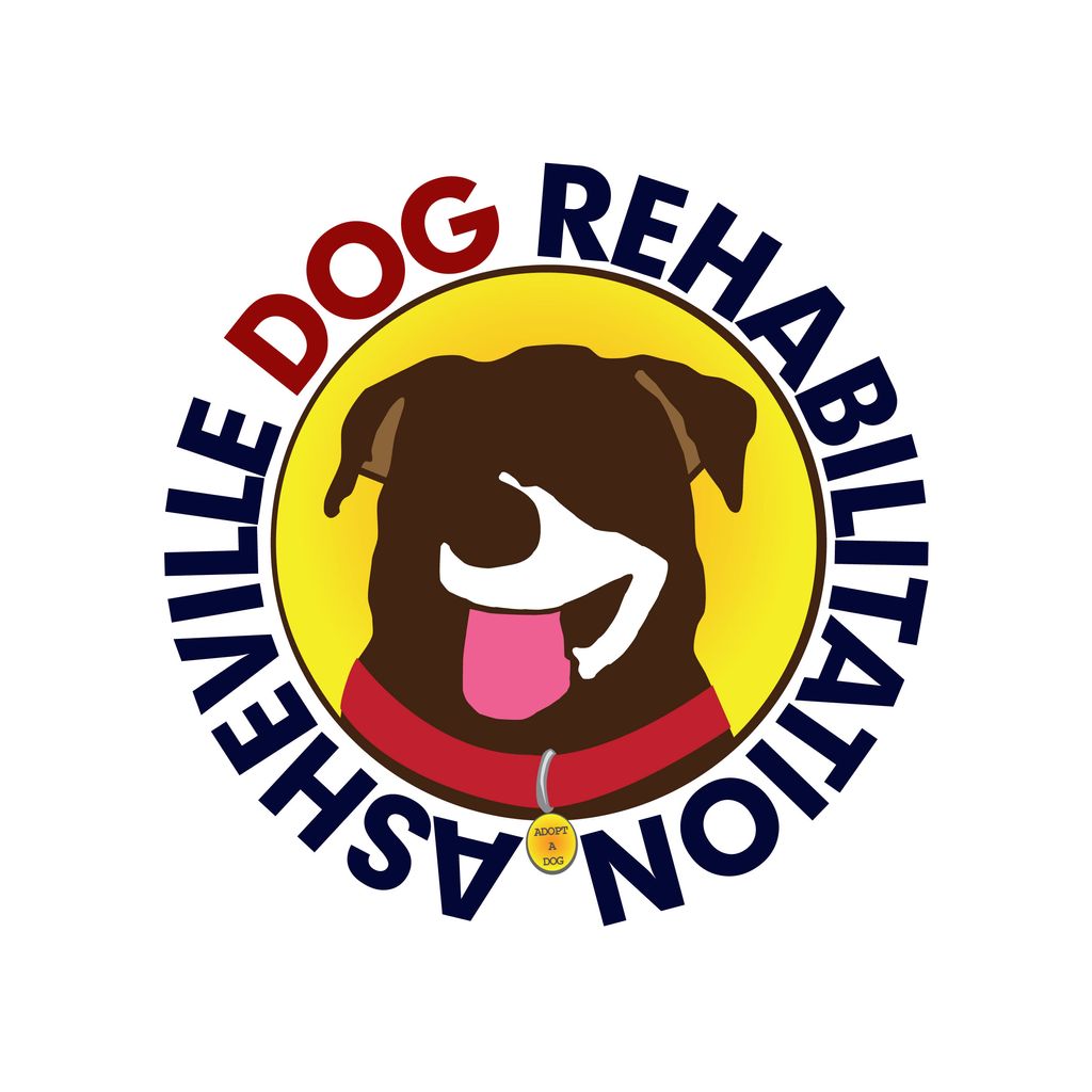 Asheville Dog Rehabilitation