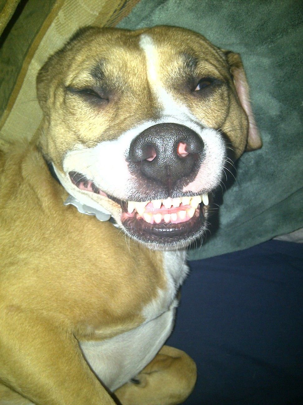 Murphy --- saying cheese