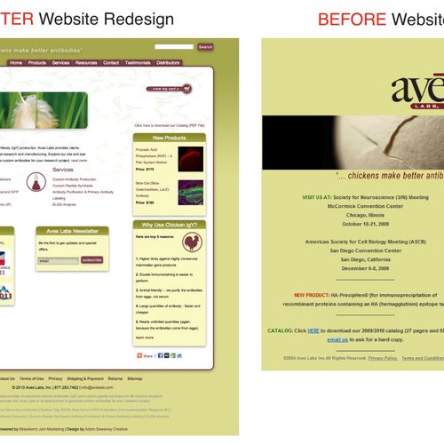 New e-commerce enabled Website design (left) with 