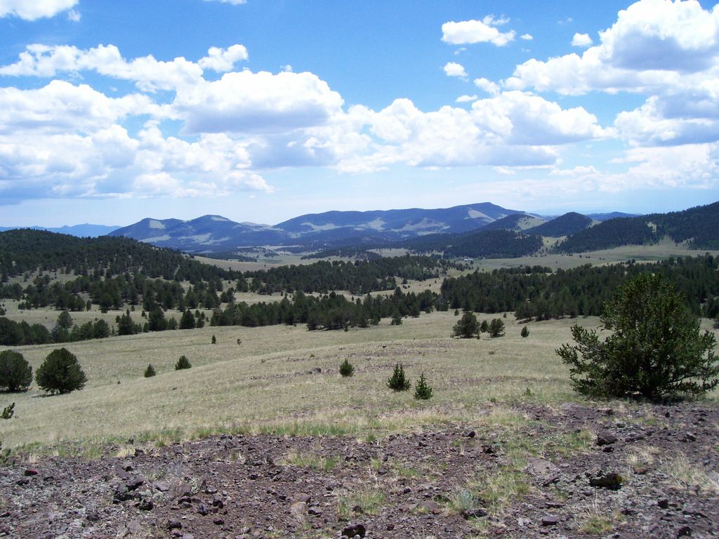 Views at the ranch.