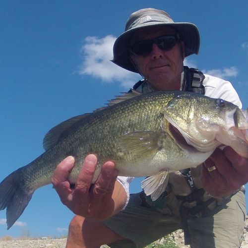 Nebraska offers some dandy largemouth bass fishing