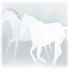 Equestrian Web Design