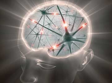 Neuroplasticity: the science behind your thoughts.