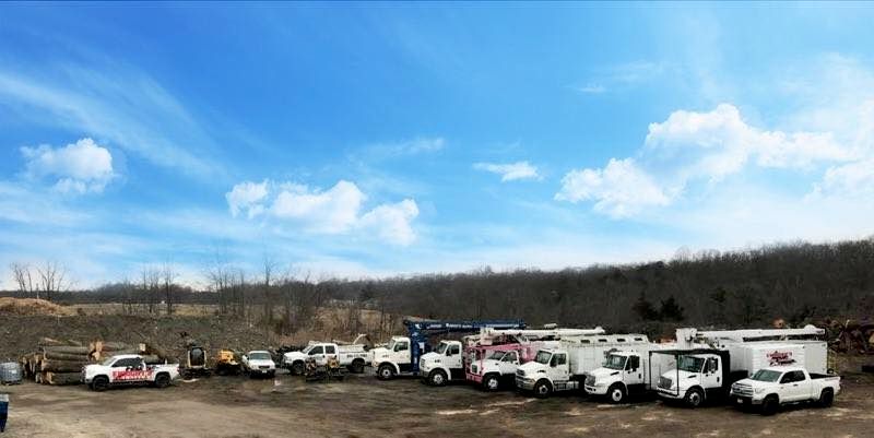 Fleet of the trucks.