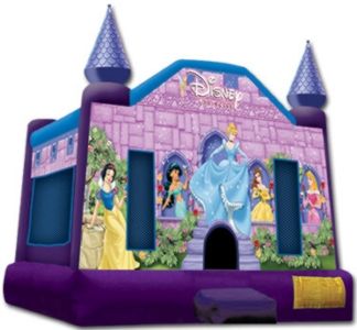 Disney Princess Standard $70 6/hours