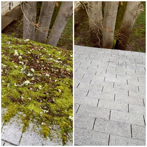 Mossy roof before/after...such a difference!