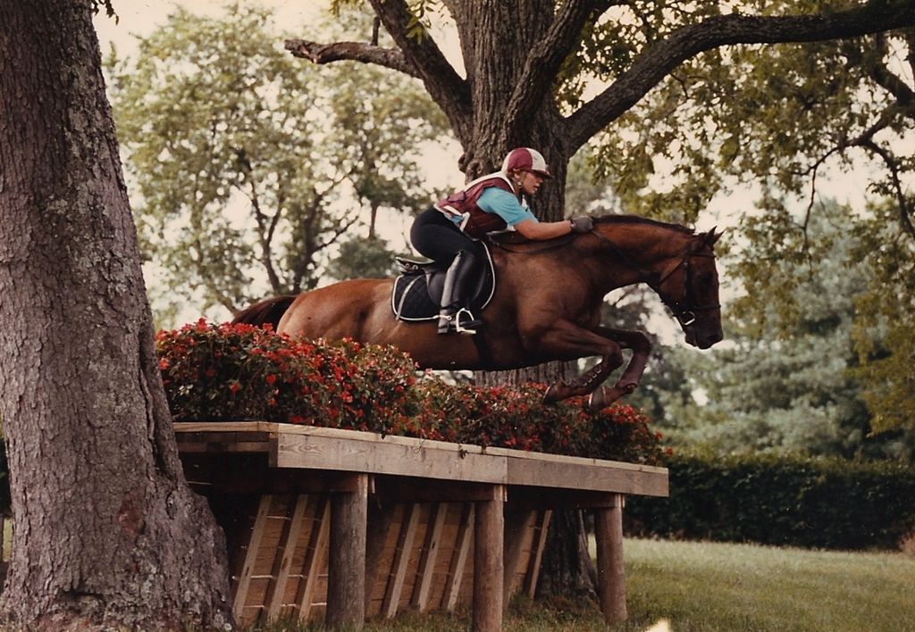 I have many years experience in the horse world as
