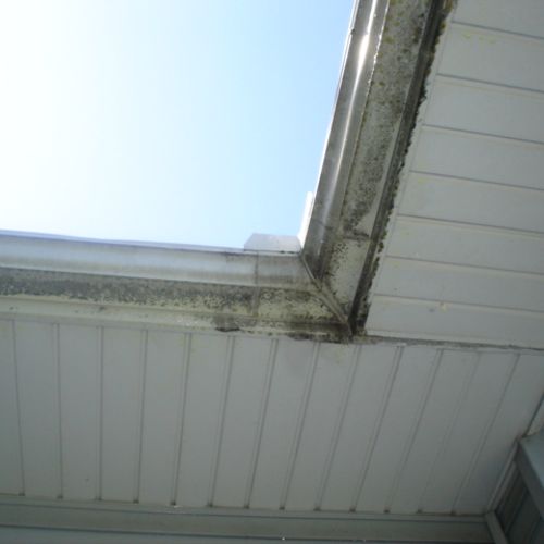 Before exterior gutter cleaning.