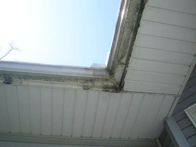 Before exterior gutter cleaning.