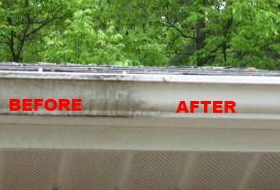Gutter facing cleaning