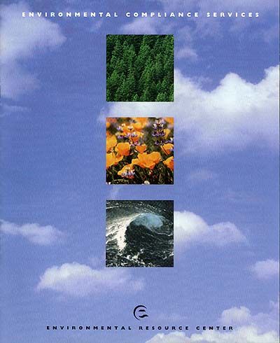 An eye-catching brochure is essential for any busi